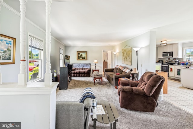 32105 Judiths Ln, Frankford, DE 19945 - living area featuring ornamental molding, light tile patterned flooring, and light colored carpet