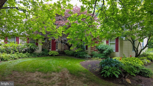 310 Belmont Ct, Lincoln University, PA 19352 - view of green lawn