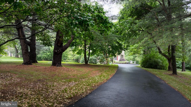 310 Belmont Ct, Lincoln University, PA 19352 - surrounding community