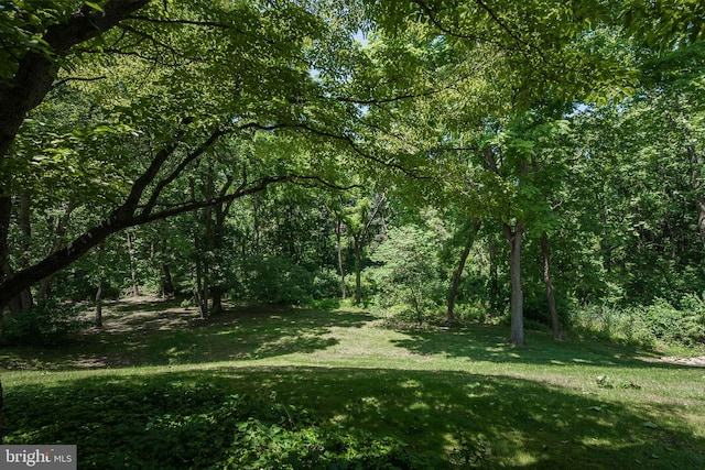 310 Belmont Ct, Lincoln University, PA 19352 - view of grassy yard featuring a wooded view