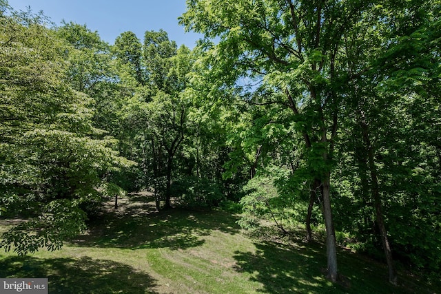 310 Belmont Ct, Lincoln University, PA 19352 - view of woods