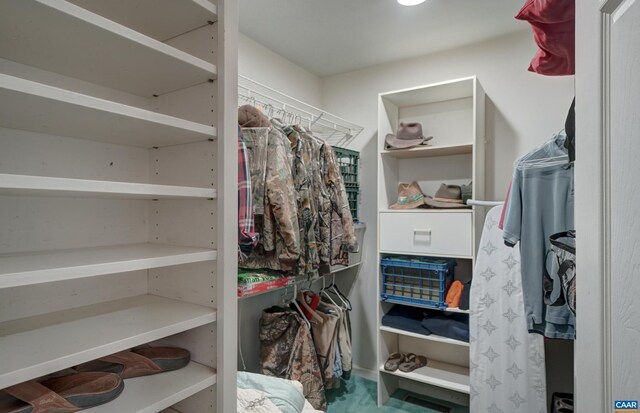 1505 Running Deer Dr, Keswick, VA 22947 - view of spacious closet