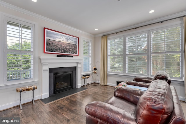 18 S Roberts Rd, Bryn Mawr, PA 19010 - living area featuring ornamental molding, a fireplace with flush hearth, wood finished floors, and recessed lighting