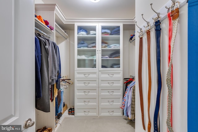 18 S Roberts Rd, Bryn Mawr, PA 19010 - spacious closet featuring carpet flooring