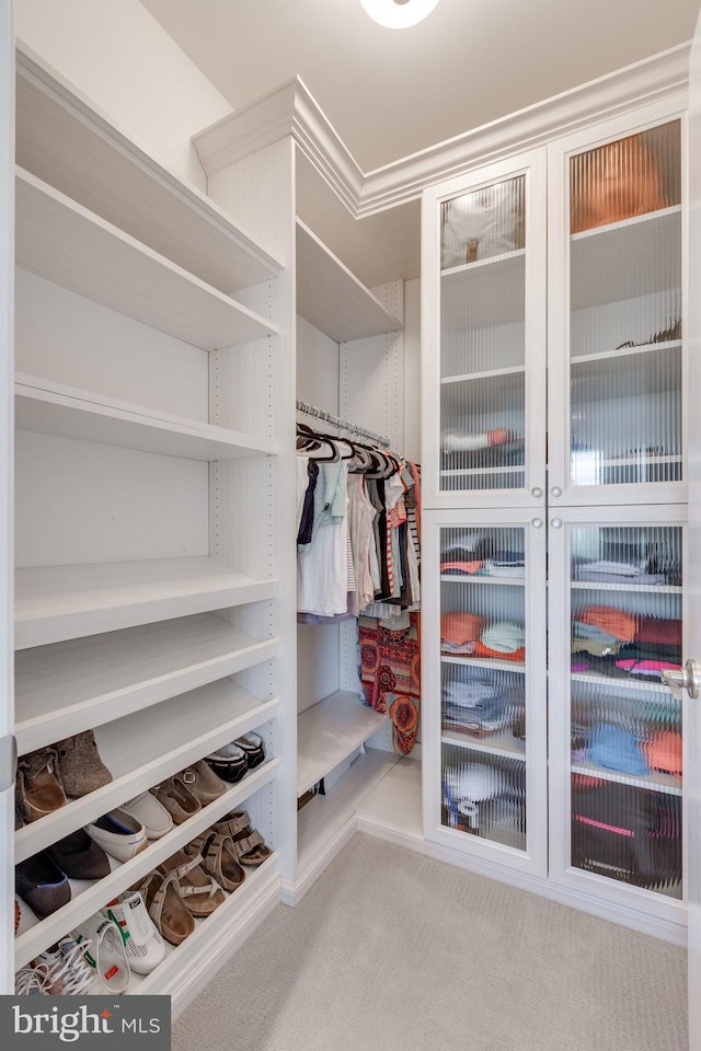 18 S Roberts Rd, Bryn Mawr, PA 19010 - walk in closet featuring carpet floors