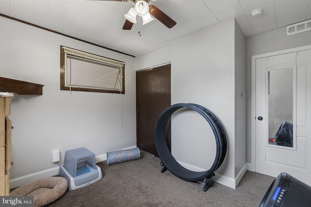 39 Roxeter Rd, New Castle, DE 19720 - miscellaneous room featuring carpet flooring and ceiling fan