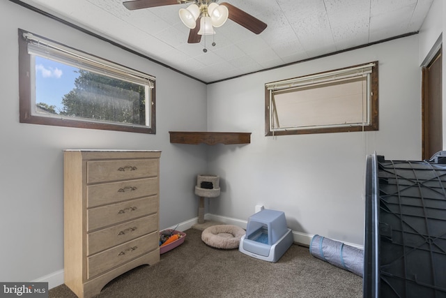 39 Roxeter Rd, New Castle, DE 19720 - bedroom featuring carpet and ceiling fan