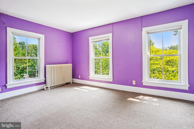 209 E Broad St, Falls Church, VA 22046 - empty room with radiator heating unit, plenty of natural light, and carpet floors