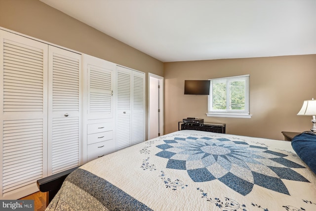 904 Hyde Rd, Silver Spring, MD 20902 - bedroom featuring multiple closets