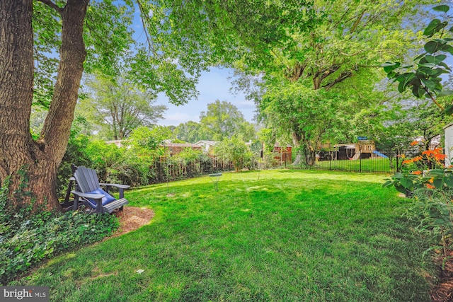 904 Hyde Rd, Silver Spring, MD 20902 - view of yard