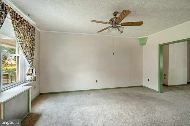 1212 Astor St, Norristown, PA 19401 - spare room featuring carpet floors, ceiling fan, ornamental molding, and a textured ceiling