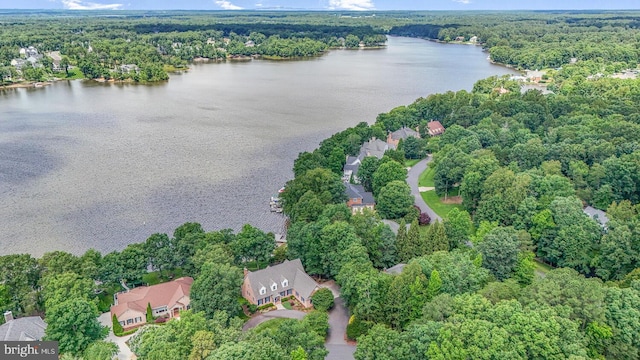 11203 Field Cir, Spotsylvania, VA 22551 - aerial view of property's location featuring a forest and a nearby body of water