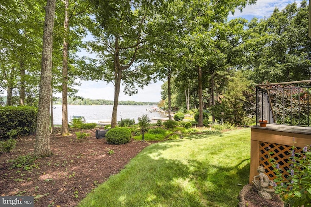 11203 Field Cir, Spotsylvania, VA 22551 - view of green lawn featuring a water view