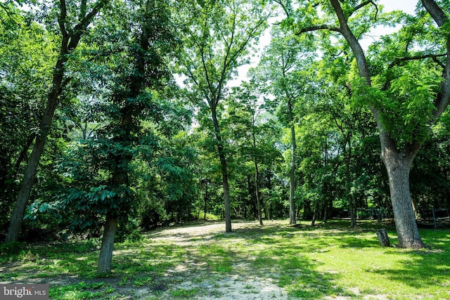 674 Good Intent Rd, Blackwood, NJ 08012 - view of green lawn with a view of trees