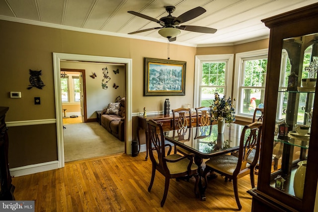 674 Good Intent Rd, Blackwood, NJ 08012 - dining area featuring crown molding, a ceiling fan, and wood finished floors