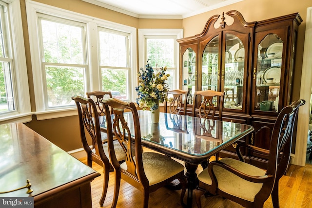 674 Good Intent Rd, Blackwood, NJ 08012 - dining area featuring ornamental molding and hardwood / wood-style flooring