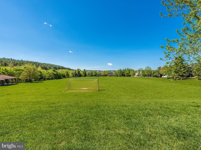 6108 Fieldcrest Dr, Frederick, MD 21701 - view of yard with an area for soccer