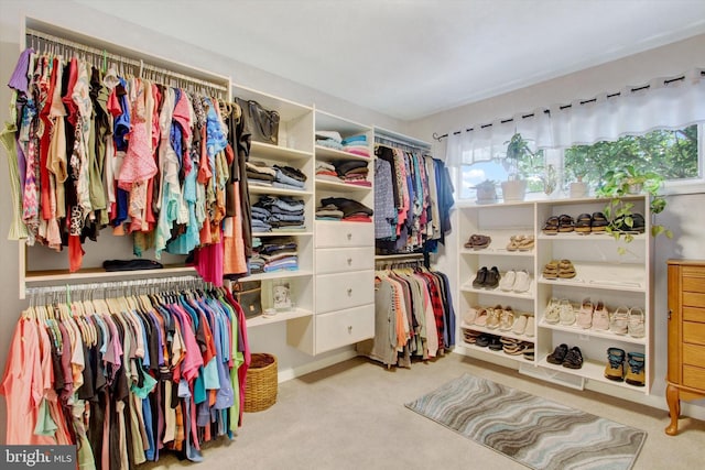 106 Mumma Ave, Hanover, PA 17331 - walk in closet featuring carpet