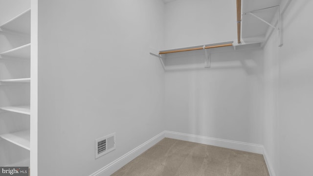 904 Joseph Johnson Dr, Annapolis, MD 21401 - spacious closet with carpet floors