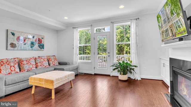904 Joseph Johnson Dr, Annapolis, MD 21401 - living room with a fireplace with flush hearth, crown molding, dark wood-style floors, and recessed lighting