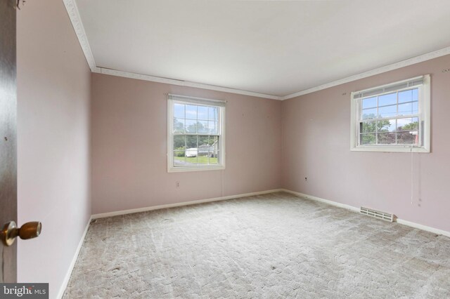 21 Jerrys Ave, Clayton, NJ 08312 - empty room with ornamental molding, plenty of natural light, and carpet floors