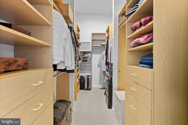 43251 Brownstone Ct, Ashburn, VA 20147 - view of walk in closet
