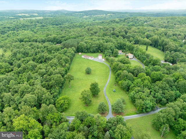 364 Stoney Bottom Rd, Front Royal, VA 22630 - drone / aerial view of a forest