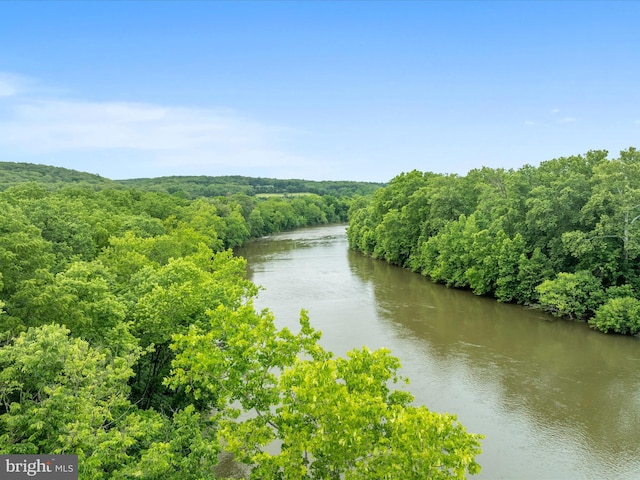 364 Stoney Bottom Rd, Front Royal, VA 22630 - water view with a heavily wooded area