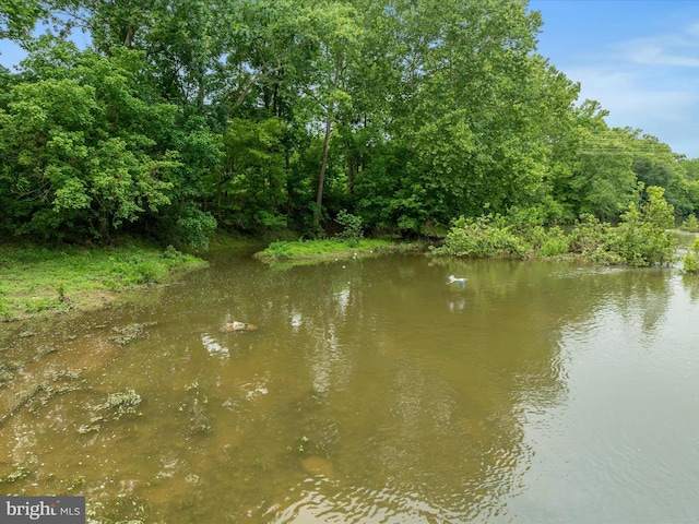 364 Stoney Bottom Rd, Front Royal, VA 22630 - water view