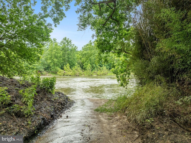 364 Stoney Bottom Rd, Front Royal, VA 22630 - water view with a heavily wooded area