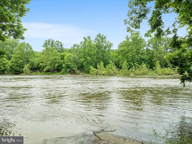 364 Stoney Bottom Rd, Front Royal, VA 22630 - water view featuring a forest