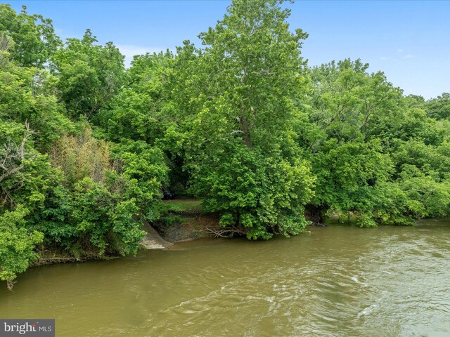 364 Stoney Bottom Rd, Front Royal, VA 22630 - water view