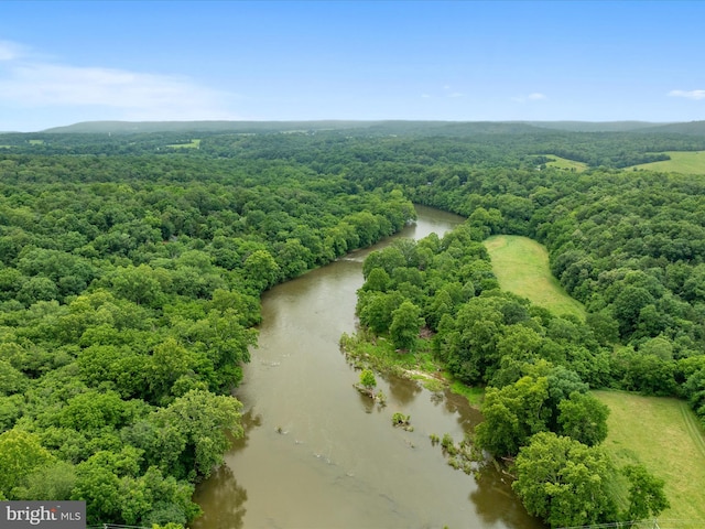 364 Stoney Bottom Rd, Front Royal, VA 22630 - bird's eye view of a heavily wooded area and a nearby body of water