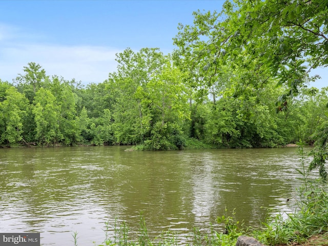 364 Stoney Bottom Rd, Front Royal, VA 22630 - water view with a forest