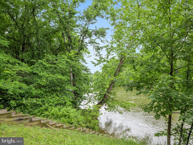 364 Stoney Bottom Rd, Front Royal, VA 22630 - water view