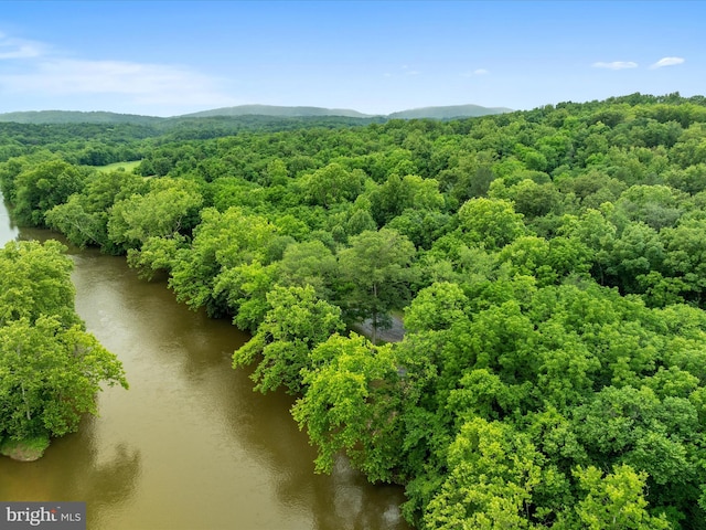 364 Stoney Bottom Rd, Front Royal, VA 22630 - drone / aerial view of a nearby body of water and a forest