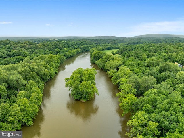 364 Stoney Bottom Rd, Front Royal, VA 22630 - drone / aerial view of a large body of water and a heavily wooded area