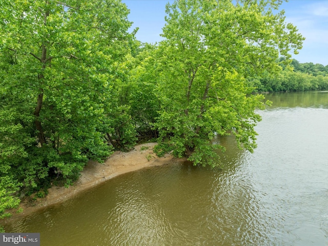 364 Stoney Bottom Rd, Front Royal, VA 22630 - water view