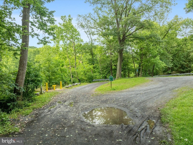 364 Stoney Bottom Rd, Front Royal, VA 22630 - view of road featuring a wooded view