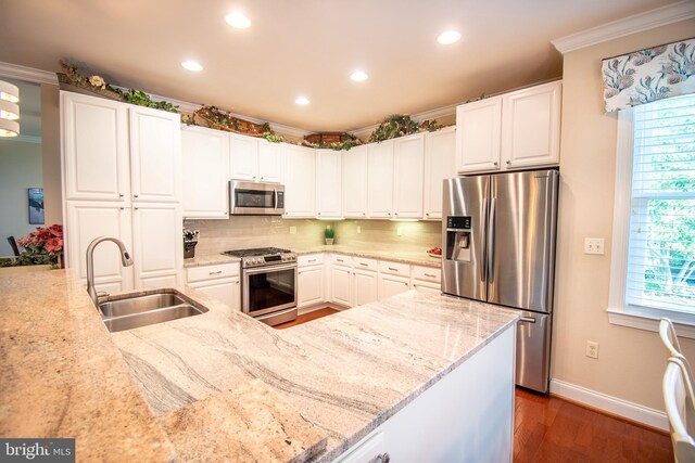 37126 Solitude Dr, Selbyville, DE 19975 - kitchen with appliances with stainless steel finishes, recessed lighting, light stone counters, dark wood-type flooring, and backsplash