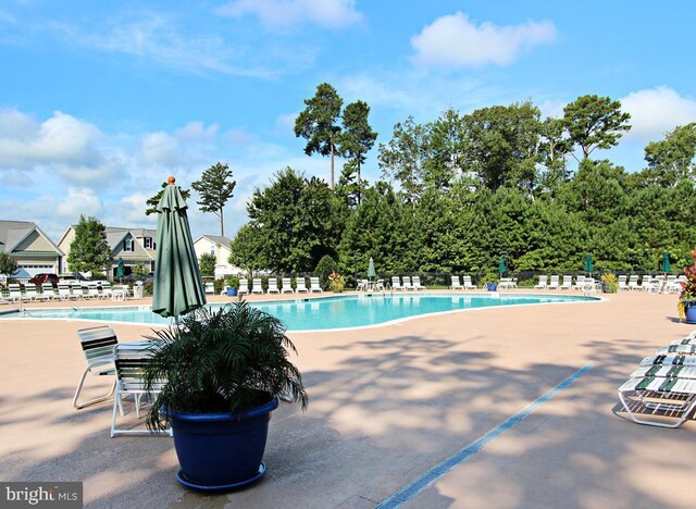 37126 Solitude Dr, Selbyville, DE 19975 - community pool with a patio