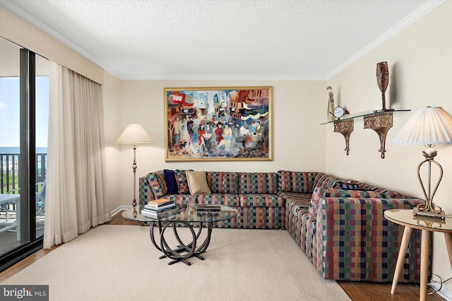 403 N Edgewater House Rd Unit 403N, Bethany Beach, DE 19930 - living area featuring crown molding, wood finished floors, and a textured ceiling
