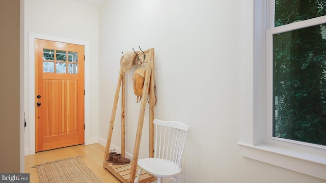 18 Hart Ave, Hopewell, NJ 08525 - entrance foyer with wood finished floors