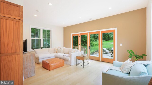 18 Hart Ave, Hopewell, NJ 08525 - living area with plenty of natural light, light wood-style floors, and recessed lighting
