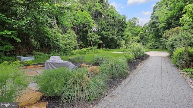 18 Hart Ave, Hopewell, NJ 08525 - view of patio