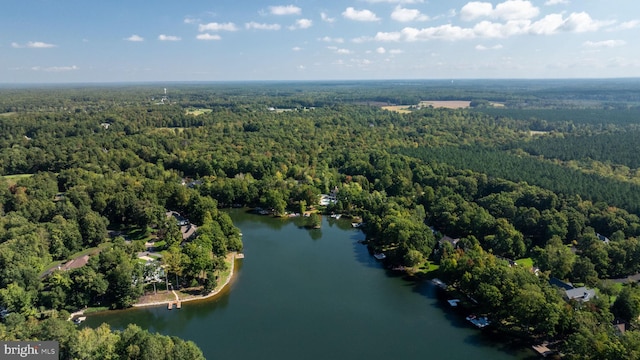 11204 Fawn Lake Pkwy, Spotsylvania, VA 22551 - aerial view of property and surrounding area with a heavily wooded area and a large body of water