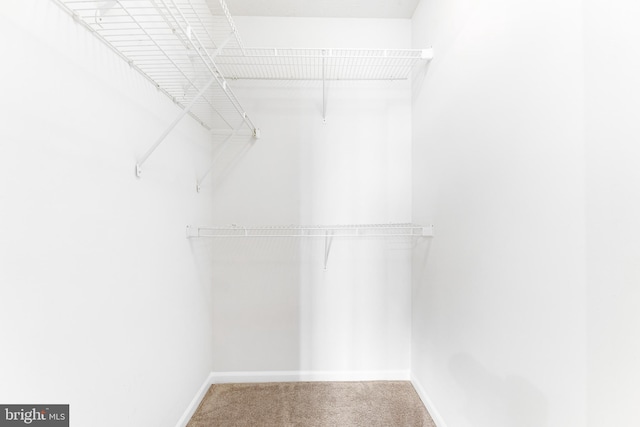 7854 Cornerstone Way Unit 8-7854, Windsor Mill, MD 21244 - spacious closet featuring carpet floors