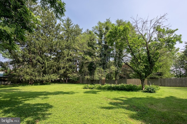 214 Sugartown Rd, Devon, PA 19333 - view of yard