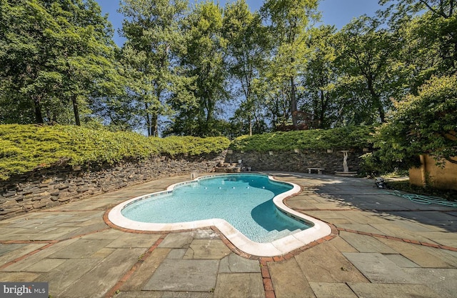 4127 Presidential Dr, Lafayette Hill, PA 19444 - view of swimming pool with a patio and view of scattered trees