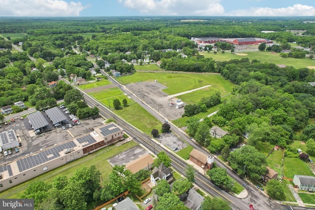 134 S Main St, Glassboro, NJ 08028 - aerial view of a heavily wooded area